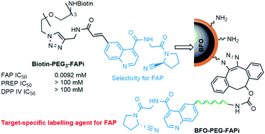 Graphical abstract: Inhibitor-conjugated harmonic nanoparticles targeting fibroblast activation protein