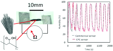Graphical abstract: Polyacrylic acid coated carbon nanotube–paper composites for humidity and moisture sensing
