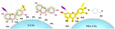 Graphical abstract: Borate-modified carbon dots as a probe for quercetin in plants