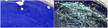 Graphical abstract: A non-luminescent polymorph of [(cyclohexyl isocyanide)2Au]PF6 that becomes luminescent upon grinding or exposure to dichloromethane vapor
