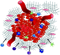 Graphical abstract: Microfluidic technologies for immunotherapy studies on solid tumours