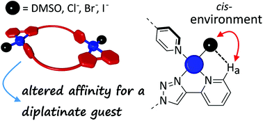 Graphical abstract: Exploiting the labile site in dinuclear [Pd2L2]n+ metallo-cycles: multi-step control over binding affinity without alteration of core host structure