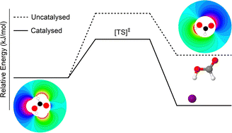 Graphical abstract: A tale of two conformers: spectroscopic evidence for halide catalysed formic acid isomerisation