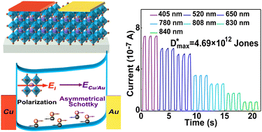 Graphical abstract: A high performance Au/CH3NH3PbI3/Cu planar-type self-powered photodetector