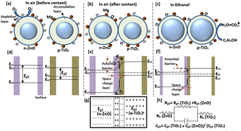 Graphical abstract: Frequency-tuned selectivity enhancement of Mg@ZnO–TiO2 nanoflake-based heterojunction sensor devices
