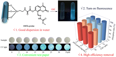 Graphical abstract: A dual-functional halloysite nanotube-based nanoprobe for the detection and removal of hypochlorite