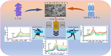 Graphical abstract: Individual and simultaneous electrochemical determination of nitrofurantoin and ascorbic acid in biological samples using a novel La2YBiO6 double perovskite deposited on MWCNTs as a nanocomposite