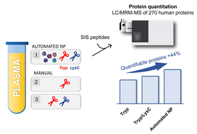 Graphical abstract: Reproducible protein quantitation of 270 human proteins at increased depth using nanoparticle-based fractionation and multiple reaction monitoring mass spectrometry with stable isotope-labelled internal standards