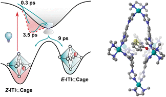 Graphical abstract: Modulation of the isomerization of iminothioindoxyl switches by supramolecular confinement