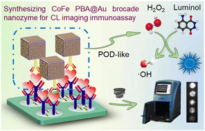 Graphical abstract: Gold brocade coated CoFe PBA with enhanced peroxidase-like activity for a chemiluminescent imaging immunoassay