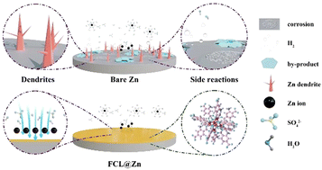 Graphical abstract: Stabilizing zinc anodes via engineering the active sites and pore structure of functional composite layers