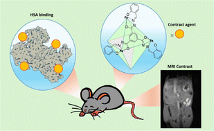 Graphical abstract: An octahedral coordination cage with six Fe(iii) centers as a T1 MRI probe