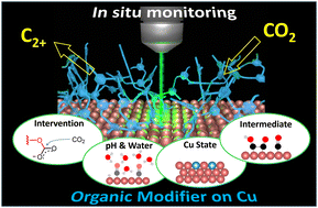 Graphical abstract: Spectrometric monitoring of CO2 electrolysis on a molecularly modified copper surface