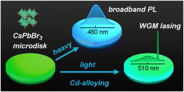 Graphical abstract: Composition tunable and stable spontaneous emission and lasing in Cd-alloyed perovskite microdisks
