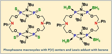 Graphical abstract: Reactions of chalcogens and borane with phosphazane macrocycles assembled from diethanolamine and P2N2 building blocks