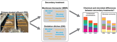 Graphical abstract: Comparing contaminants of emerging concern and microbial signatures of wastewater treated by membrane bioreactor and oxidation ditch methods