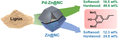 Graphical abstract: Insights into the reductive catalytic deconstruction of lignin over ultralow-loading palladium–zinc catalysts derived from zinc imidazolate frameworks