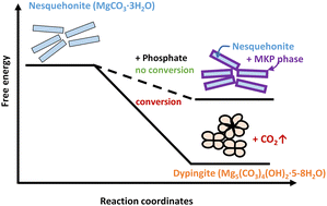 Graphical abstract: Stabilization of nesquehonite for application in carbon capture utilization and storage