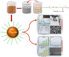 Graphical abstract: Green synthesis of biocompatible silver nanoparticles using Trillium govanianum rhizome extract: comprehensive biological evaluation and in silico analysis