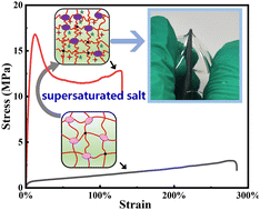 Graphical abstract: Puncture-resistant hydrogels with high mechanical performance achieved by the supersaturated salt