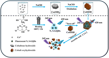 Graphical abstract: An off–on fluorescent probe based on N,S-GQDs/CoOOH nanocomplexes in vivo analysis of ascorbic acid