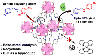 Graphical abstract: N-Alkylation of aniline derivatives by a bipyridyl metal–organic framework supported cobalt catalyst