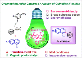 Graphical abstract: Eosin Y-mediated visible light photoredox catalysis for C(2)–H arylation of quinoline N-oxides using arenediazonium salts