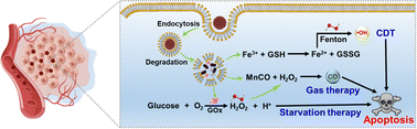 Graphical abstract: Manganese carbonyl-encapsulated Fe-MOFs as a H2O2-responsive CO gas nanogenerator for synergistic gas/chemodynamic therapy