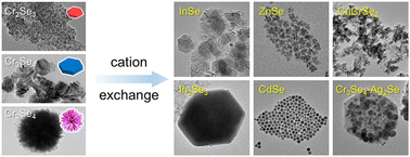 Graphical abstract: Structural diversity dependent cation incorporation into magnetic Cr–Se nanocrystals