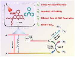 Graphical abstract: A pH stable fluoran-triphenylamine photosensitizer with efficient type I and type II ROS generation