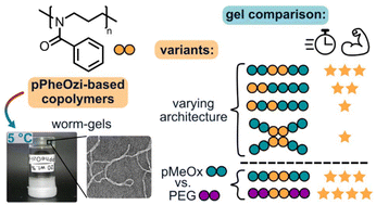 Graphical abstract: Triblock architecture and PEG hydrophilic blocks enable efficient thermogelation of poly(2-phenyl-2-oxazine)-based worm-gels