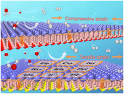 Graphical abstract: Realizing stable transition metal(111) metallene by introducing a non-metallic framework to construct 2D Janus TMB2X (X = O and S) nanostructures and investigating their hydrogen evolution catalytic performance