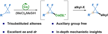 Graphical abstract: Cobalt-catalyzed stereoselective synthesis of chiral gem-difluorocyclopropanes with vicinal stereocenters