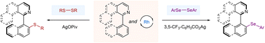 Graphical abstract: Axially chiral biaryls via rhodium-catalyzed atroposelective C–H sulfenylation and selenylation