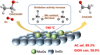 Graphical abstract: Low-temperature oxidation of ethanol to acetaldehyde over Mo-based catalysts