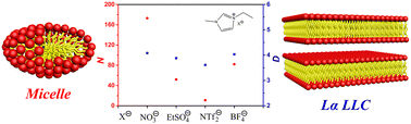 Graphical abstract: Self-assembly of the imidazolium surfactant in aprotic ionic liquids. The anion effect of aprotic ionic liquids
