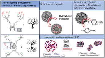Graphical abstract: Multi-functional imidazolium dendrimers based on thiacalix[4]arenes: self-assembly, catalysis and DNA binding