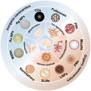 Graphical abstract: Progress in the treatment of Alzheimer's disease based on nanosized traditional Chinese medicines