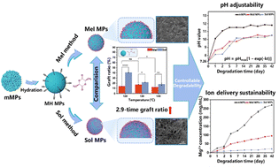 Graphical abstract: Conjugation of PDLA onto MgO microspheres: comparison between solution grafting and melt grafting methods