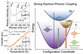 Graphical abstract: Strong electron–phonon coupling in vacancy-ordered Cs2SnBr6 double perovskite
