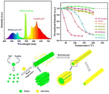 Graphical abstract: Design strategies of rare-earth luminescent complexes with zero thermal quenching protected by the wire-in-tube structure and the construction of a W-WLED with highly stable illumination and colour reproduction