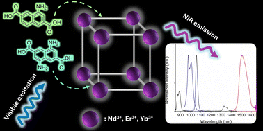 Graphical abstract: Near-infrared emitting single- and mixed-ligand MOFs that can be excited in the visible region: synthesis, crystal structures and sensitization of Nd3+, Er3+ and Yb3+