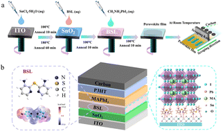 Graphical abstract: Buried interface passivation with bis(3-aminopyrid-2-yl) sulfide for carbon-based perovskite solar cells
