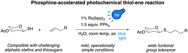 Graphical abstract: Thioglycoside functionalization via chemoselective phosphine acceleration of a photocatalytic thiol–ene reaction