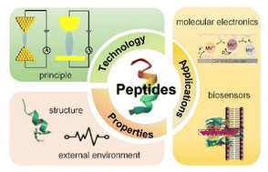Graphical abstract: Advances in single-molecule electrical transport studies of peptides