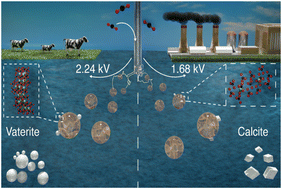 Graphical abstract: Accelerated carbon dioxide mineralization and polymorphic control facilitated by nonthermal plasma bubbles