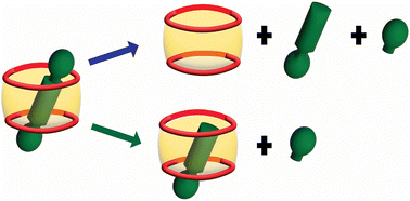 Graphical abstract: Role of viologen substituents and host size in the gas-phase fragmentation of cucurbituril–viologen host–guest complexes