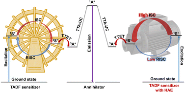 Graphical abstract: Challenges and breakthroughs in purely organic TTA-UC: the central role of heavy-atom-enhanced thermally activated delayed fluorescence photosensitizers