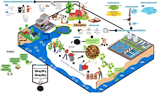 Graphical abstract: Valorization of waste-derived coffee husk into a sustainable adsorbent for multicomponent pharmaceutical removal from complex wastewater under continuous-flow conditions