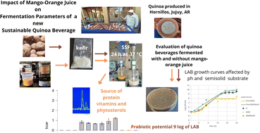 Graphical abstract: Enhancing nutritional value through semi-solid fermentation of quinoa and mango–orange juice: a sustainable approach to food processing